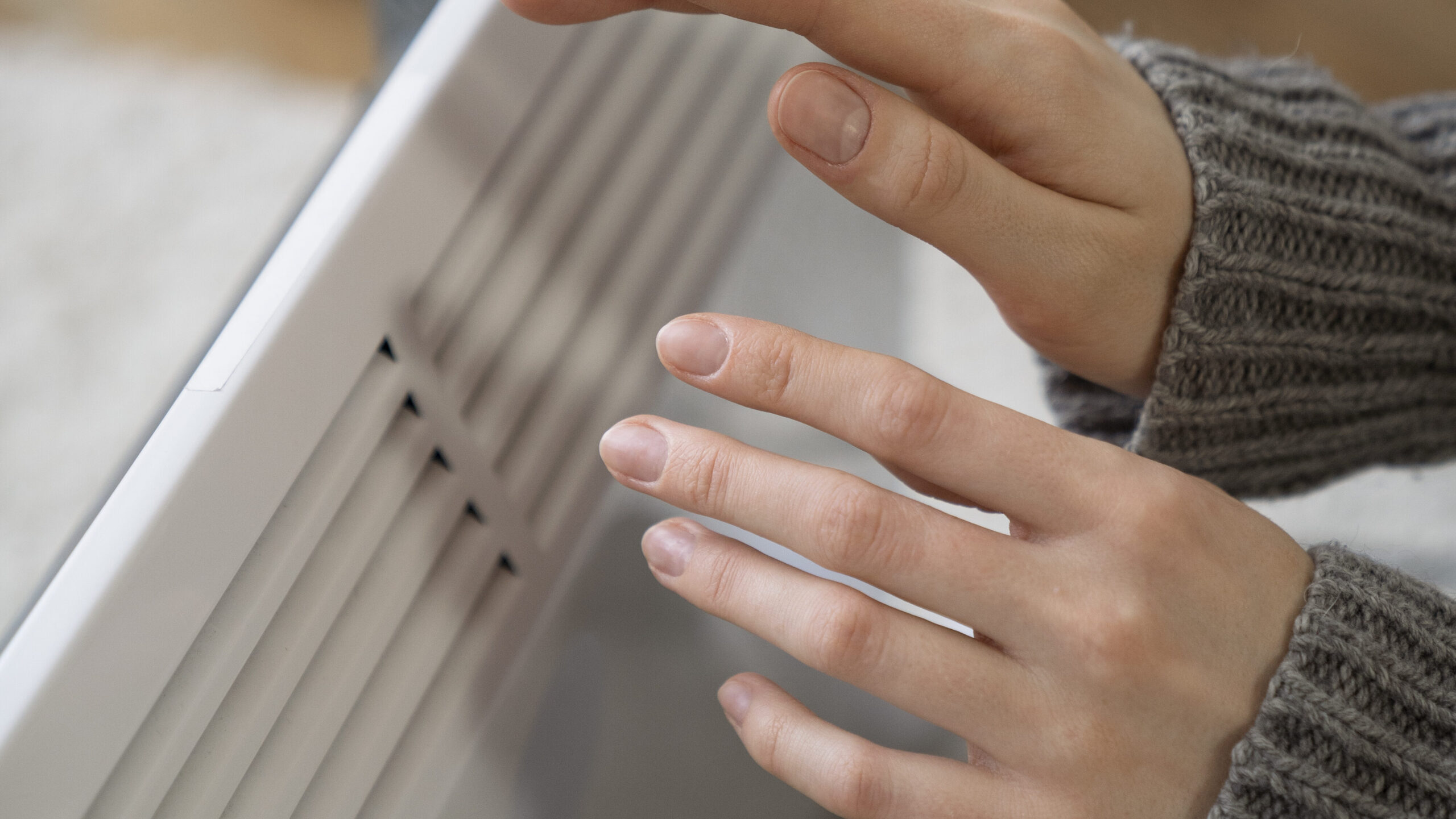 Photo credit: Freepik